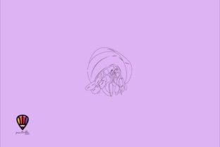 Download Hermit Crab - Hermit crab Collection