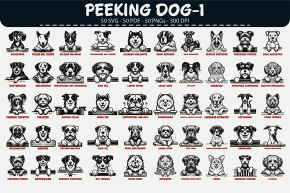Download Peeking Dog Vector Clipart – 50 Designs - Premium Resources