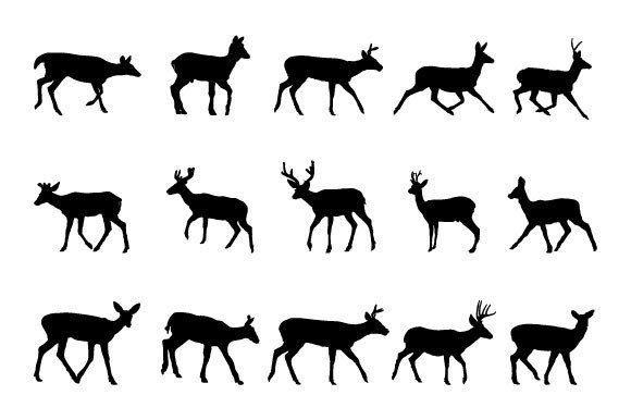 Download Deer SVG Graphic Design - Svg Collection