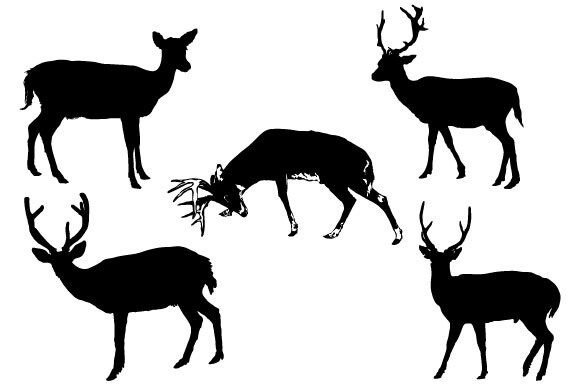 Download Deer Graphic Design SVG - Svg Collection