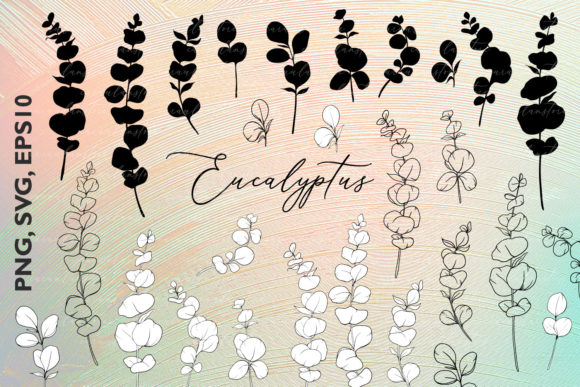Download Eucalyptus SVG, Eucalyptus Silhouette - Svg Collection