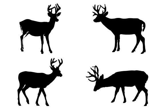 Download Key Deer SVG Graphic - Svg Collection