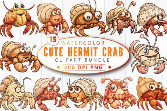 Download Funny Cute Hermit Crab Clipart Bundle - Hermit crab Collection