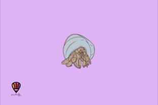 Download Hermit Crab - Hermit crab Collection