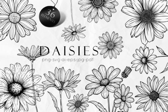 Download Daisy Line Art Drawing SVG - Svg Collection