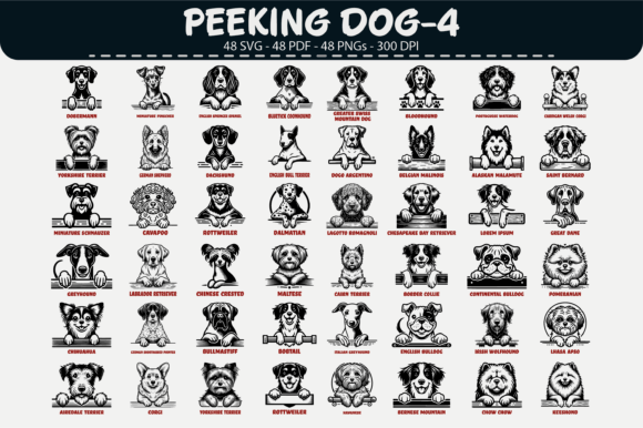 Download Peeking Dog Vector Clipart – 48 Designs - Dog vector Collection