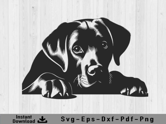 Download Peeking Labrador Retriever Dog Svg File - Svg Collection