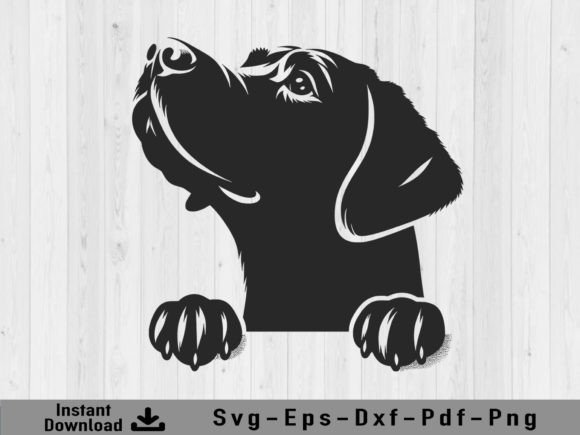 Download Peeking Labrador Retriever Dog Svg File - Svg Collection