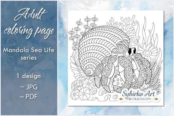 Download Hermit Crab in Shell Adult Coloring Page - Hermit crab Collection
